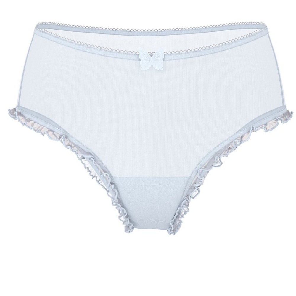 Victoria's Secret Tease ruffles Butterfly blue mesh Cheeky Panty